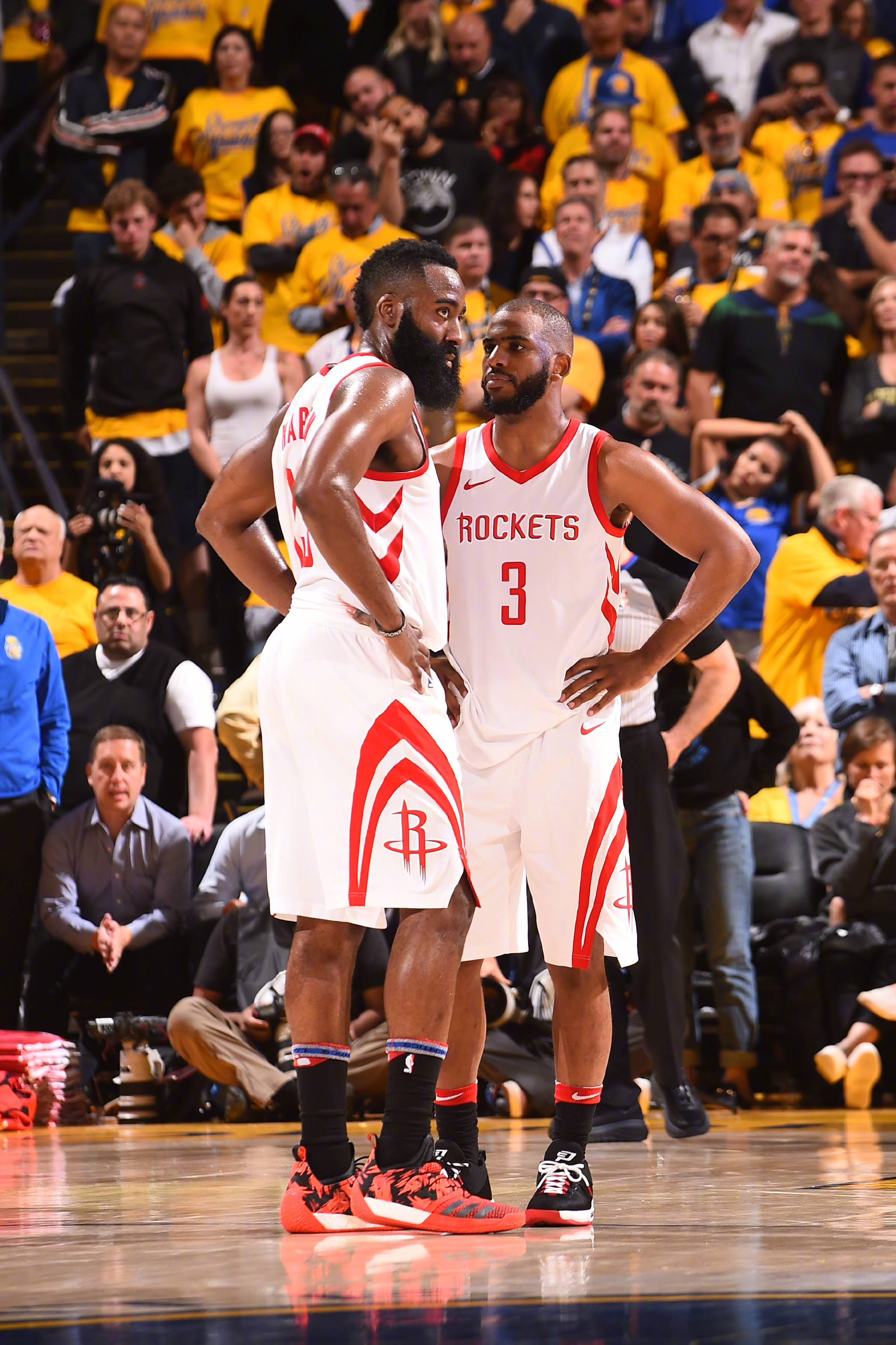 新加坡羽毛 新加坡羽毛