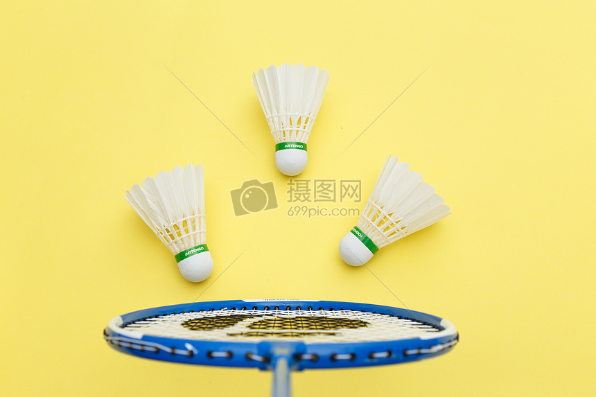 文化的瑰宝 文化的瑰宝