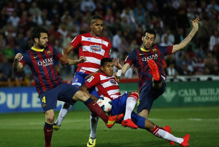 微调都会改 微调都会改