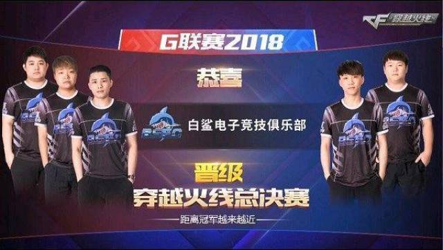 避免竞价波 避免竞价波